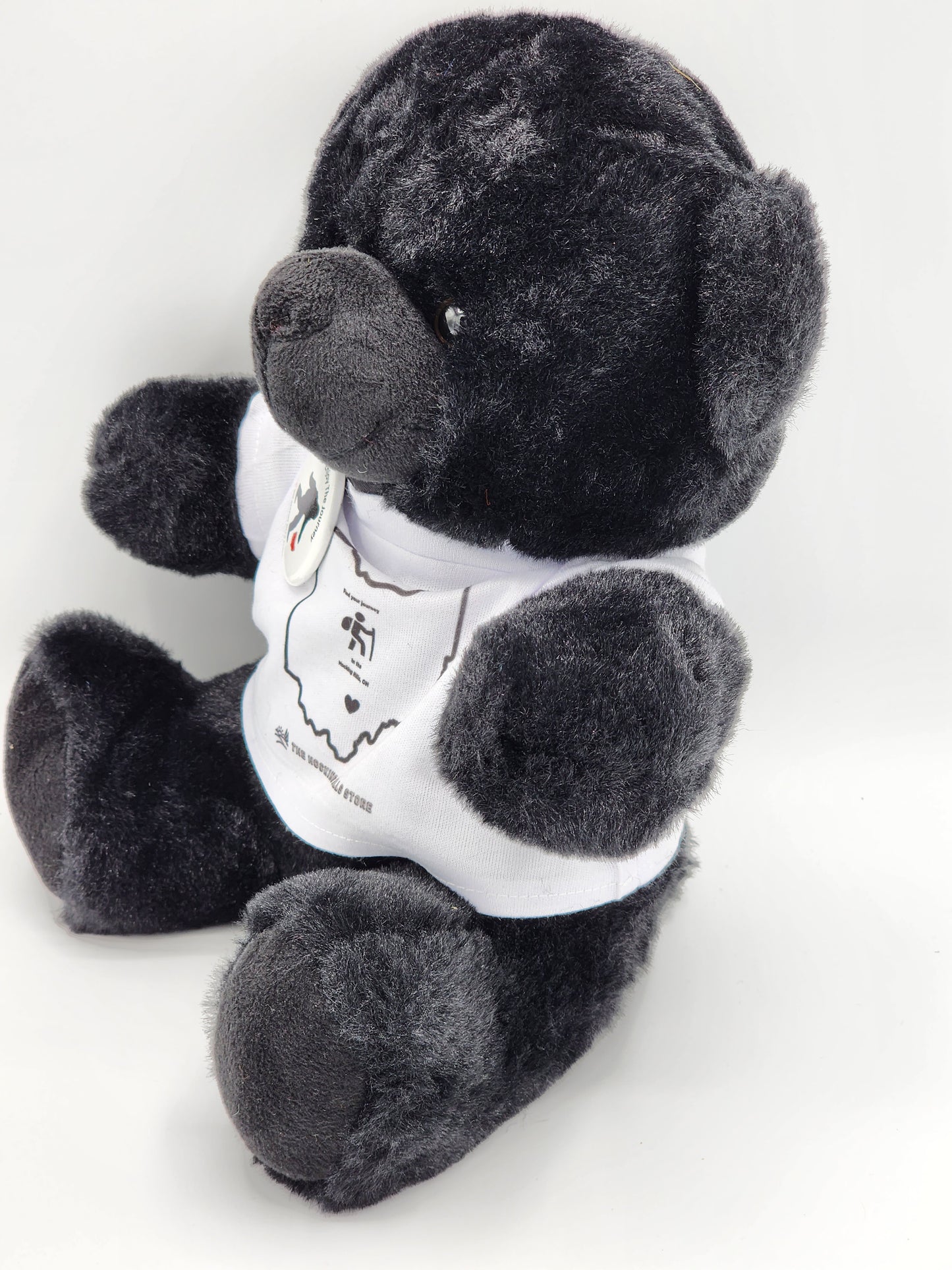 Hocking Hills Black Bear