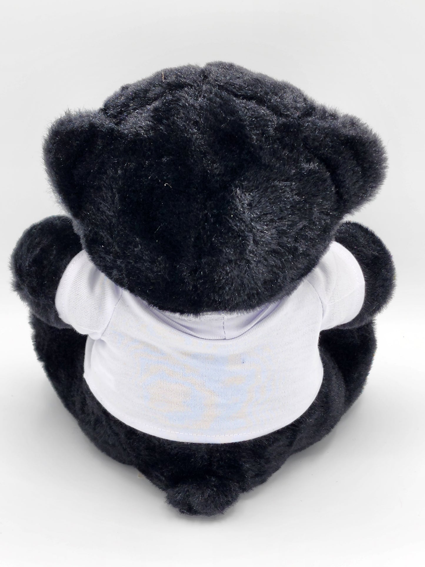 Hocking Hills Black Bear