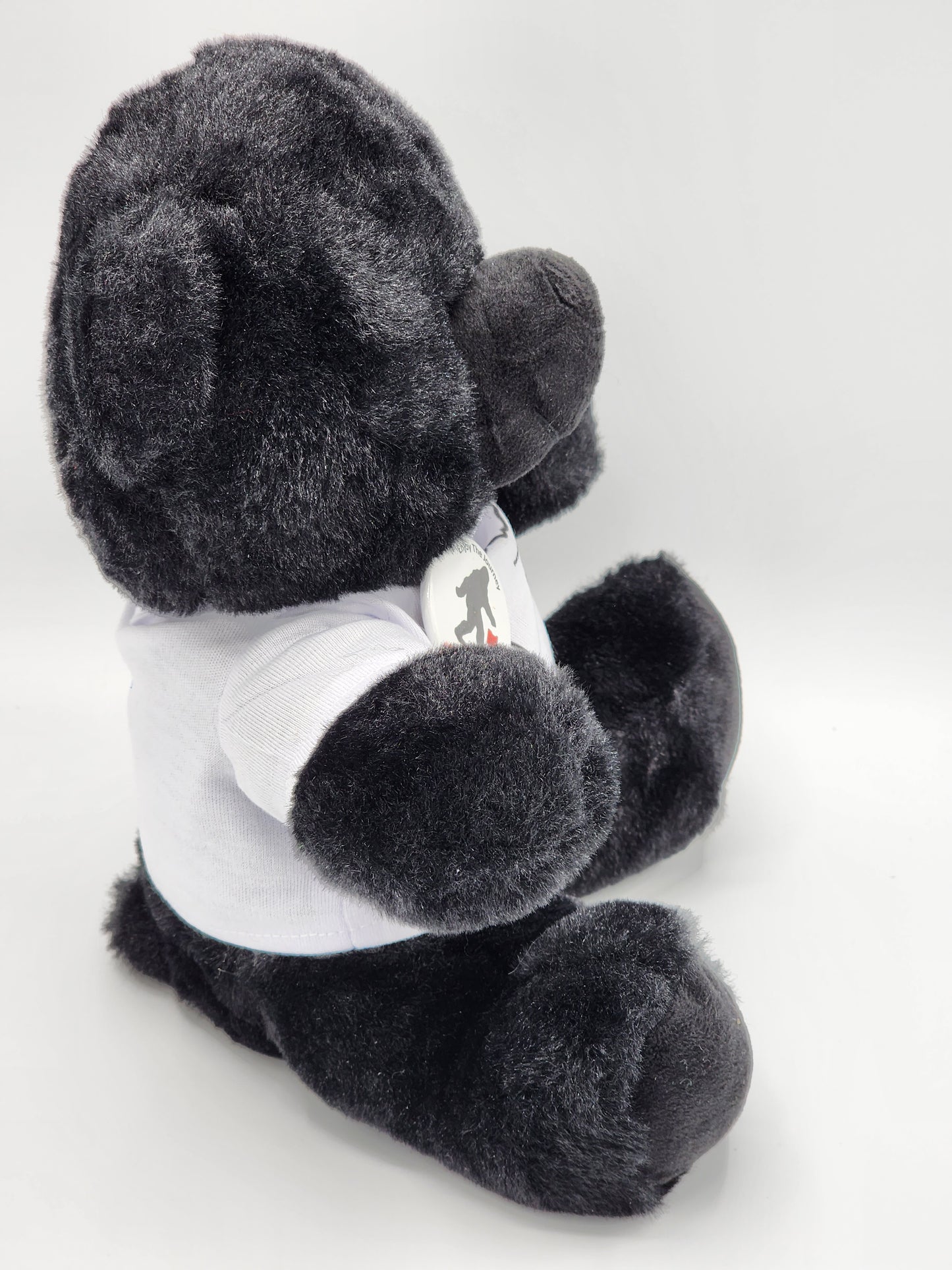 Hocking Hills Black Bear