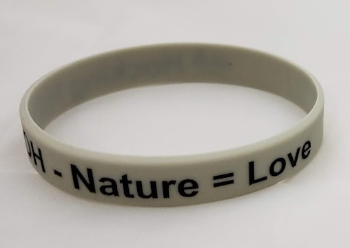 Hocking Hills Wristband