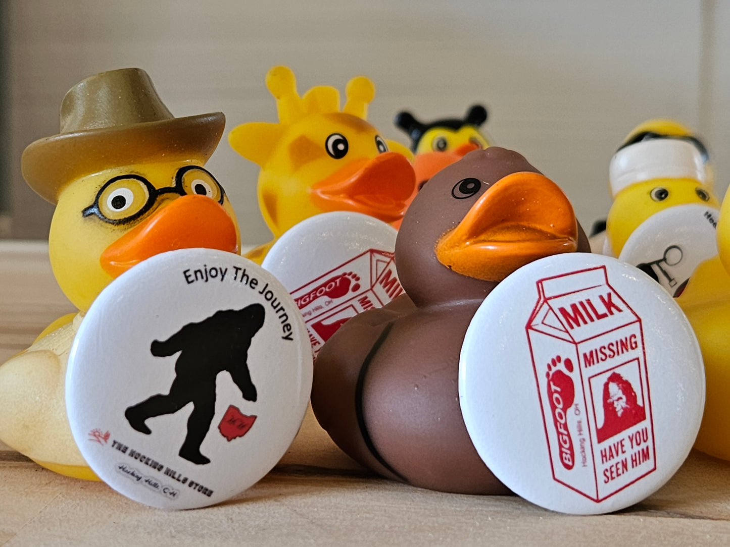 Hocking Hills Pinned Jeep Duck