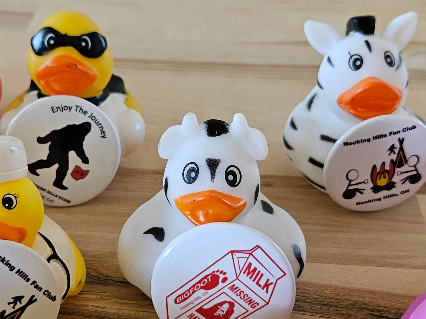 Hocking Hills Pinned Jeep Duck