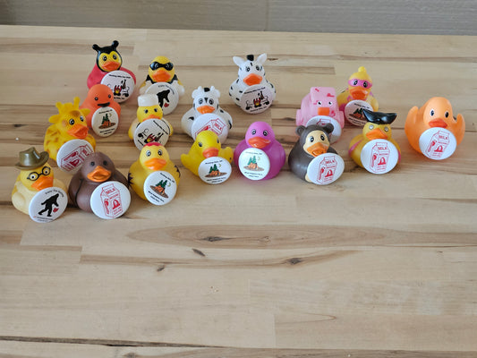 Hocking Hills Pinned Jeep Duck