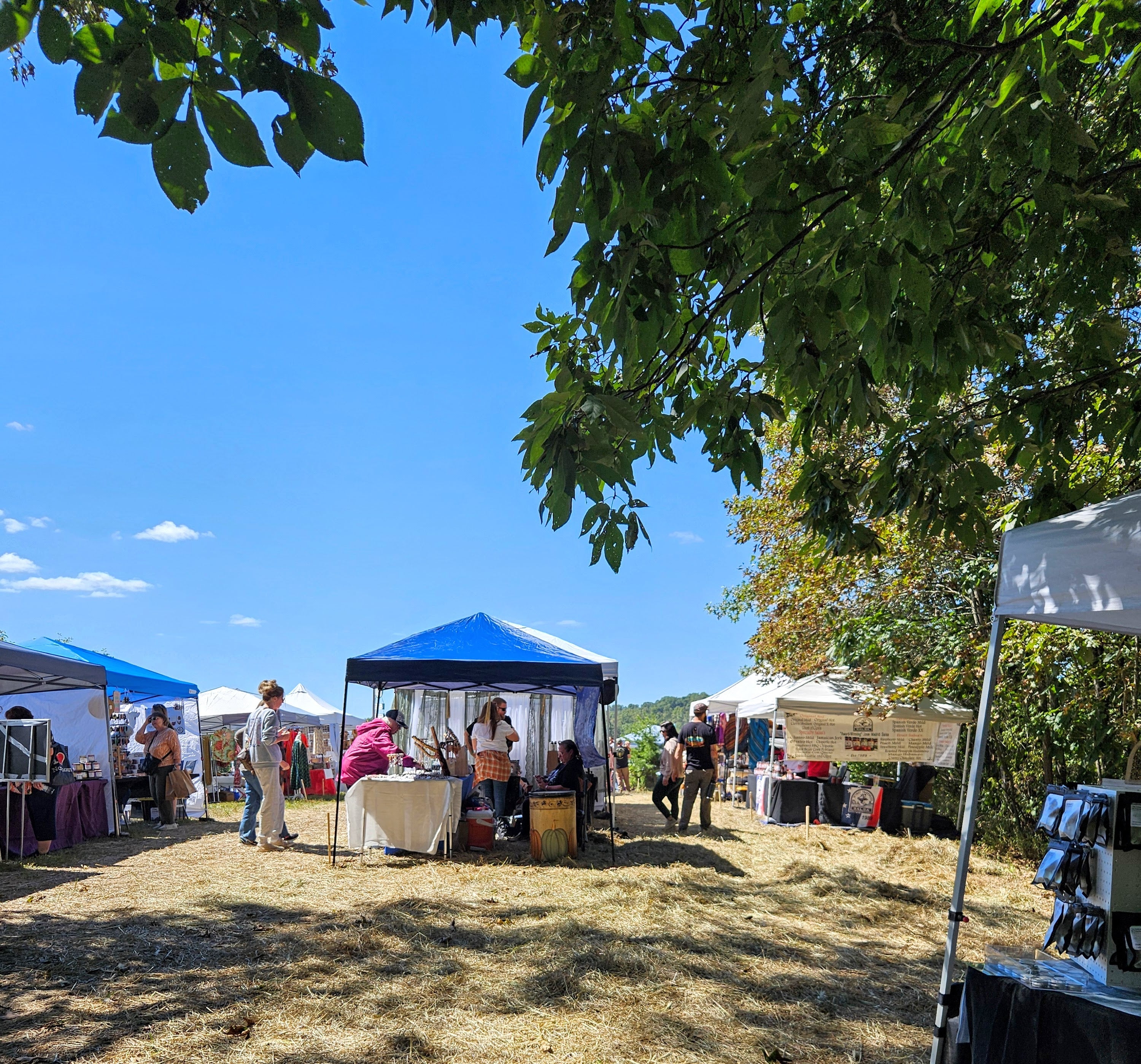 Hocking Hills Craft Show: Logan, Ohio’s Must-Visit Celebration
