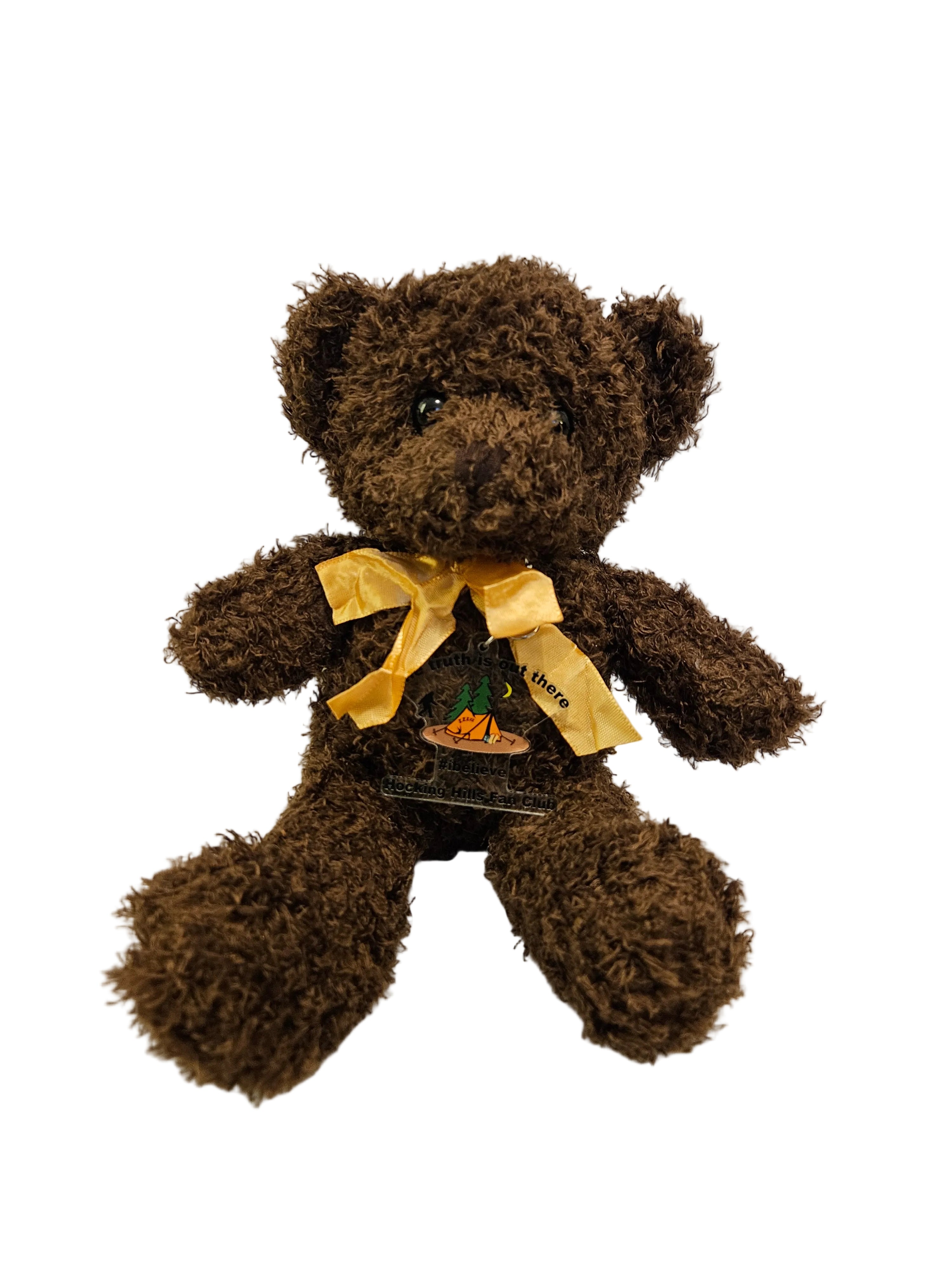 Brown teddy bear with a yellow ribbon on a white background
