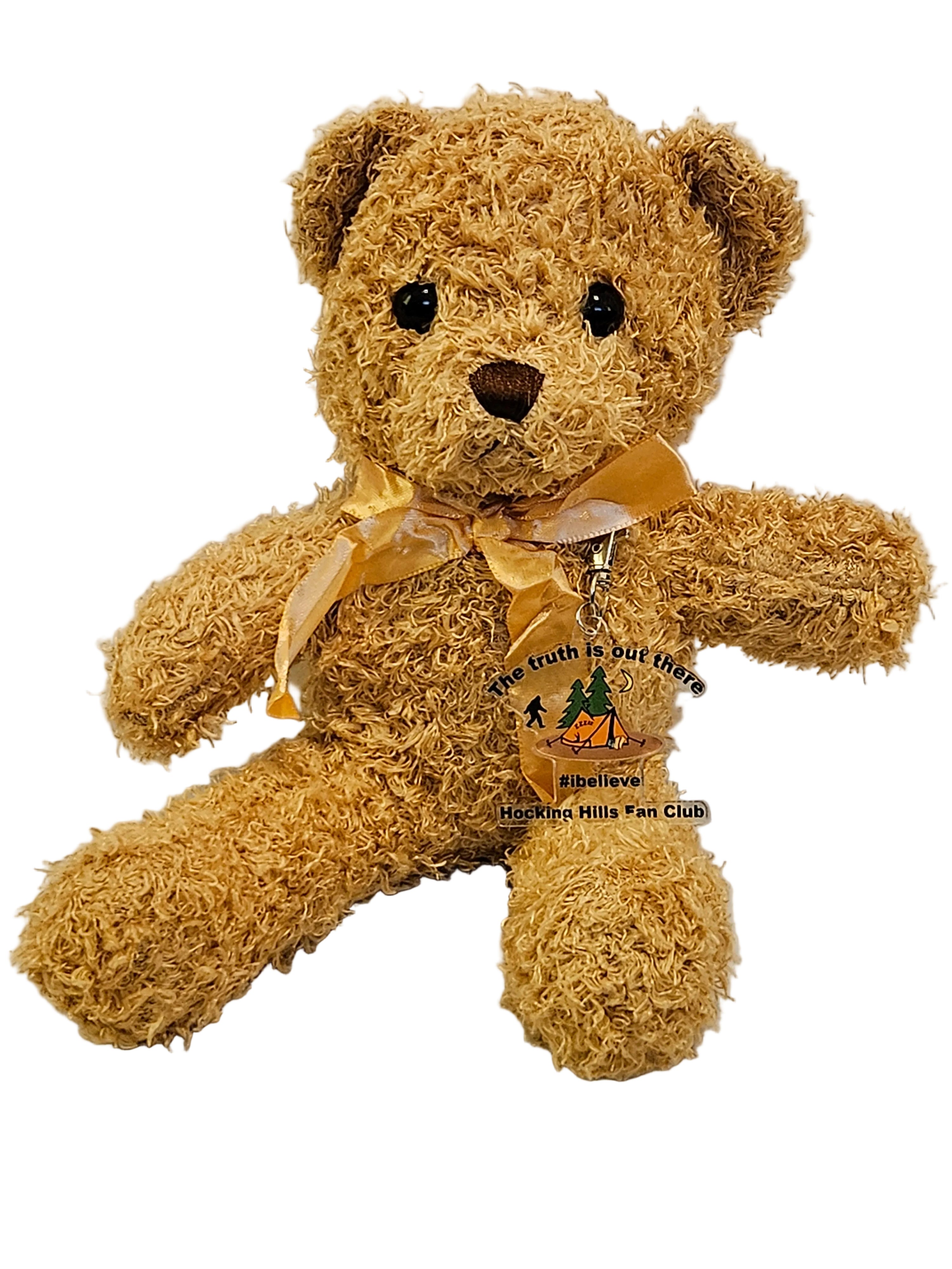 Brown teddy bear with a tag on a white background