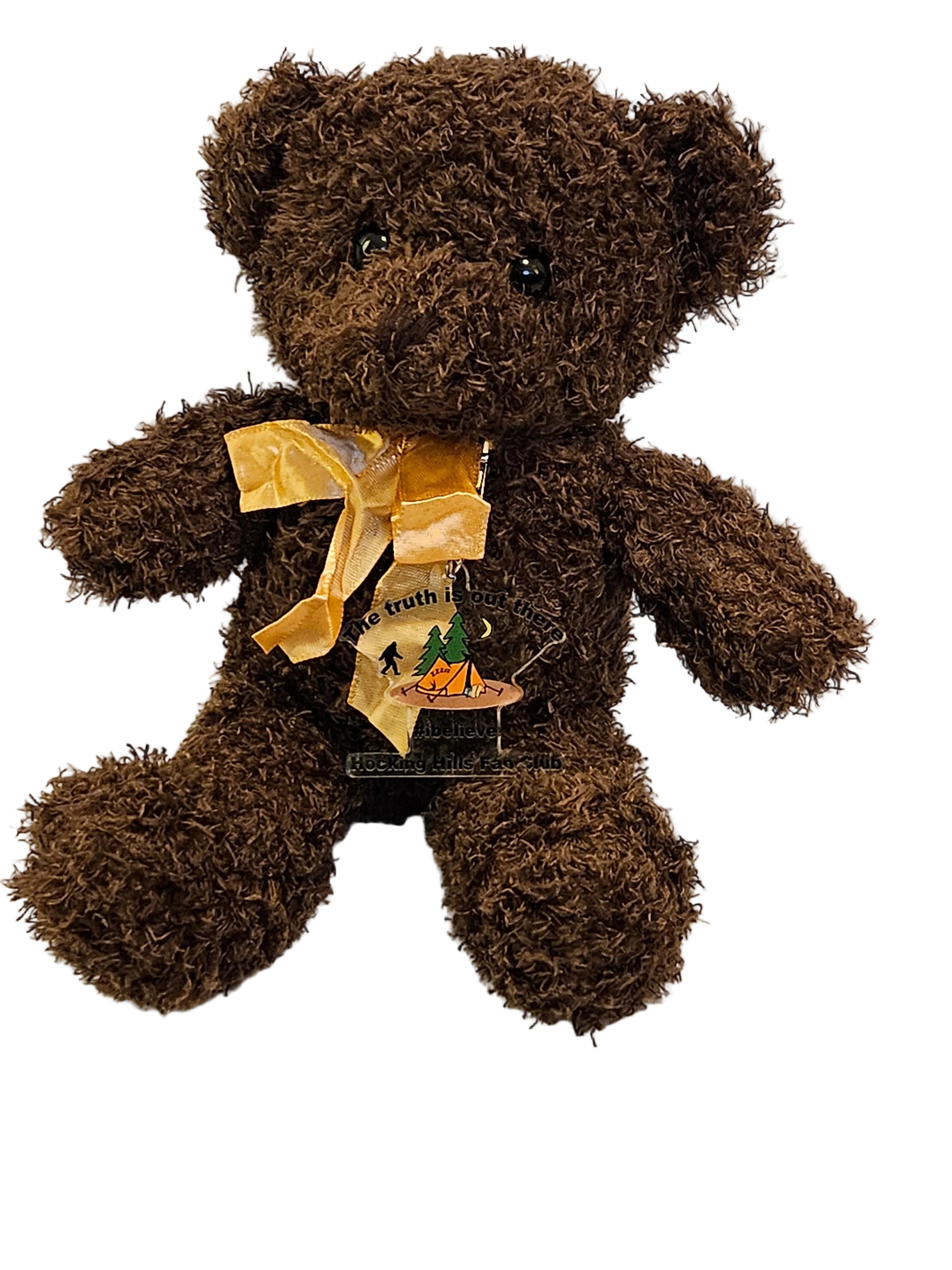 Brown teddy bear with a gold bow on a white background