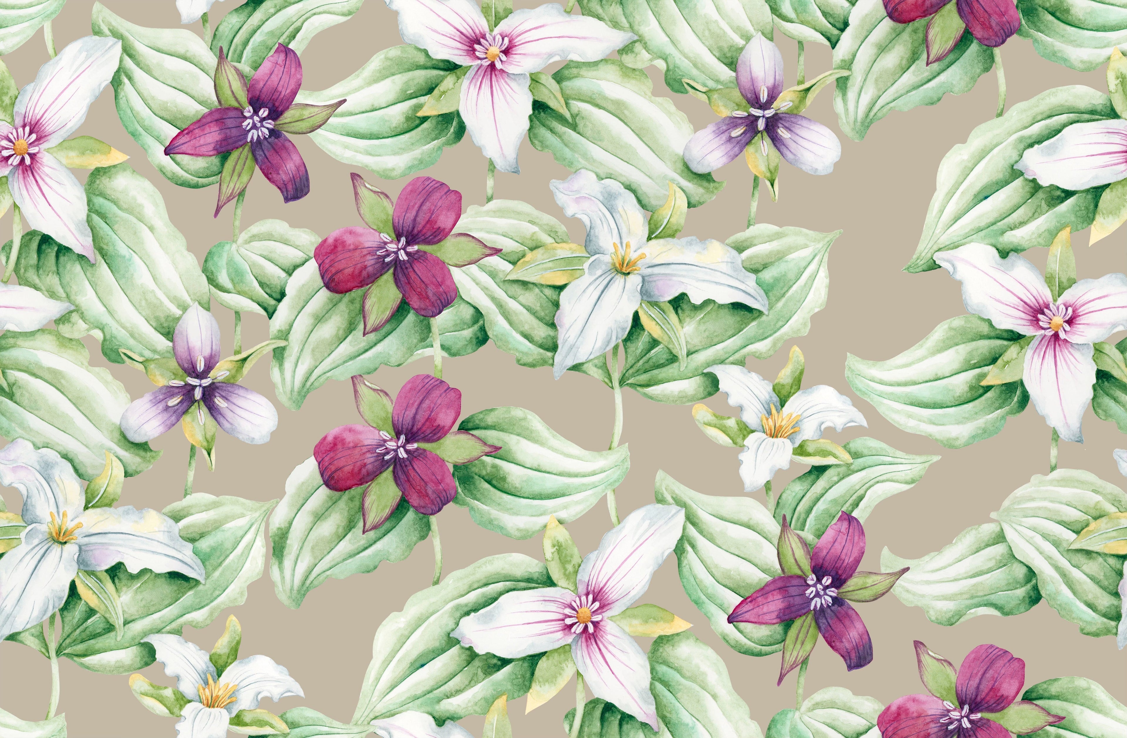 Trillium Short Sleeve