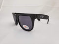 Hocking Hills Sun Glasses