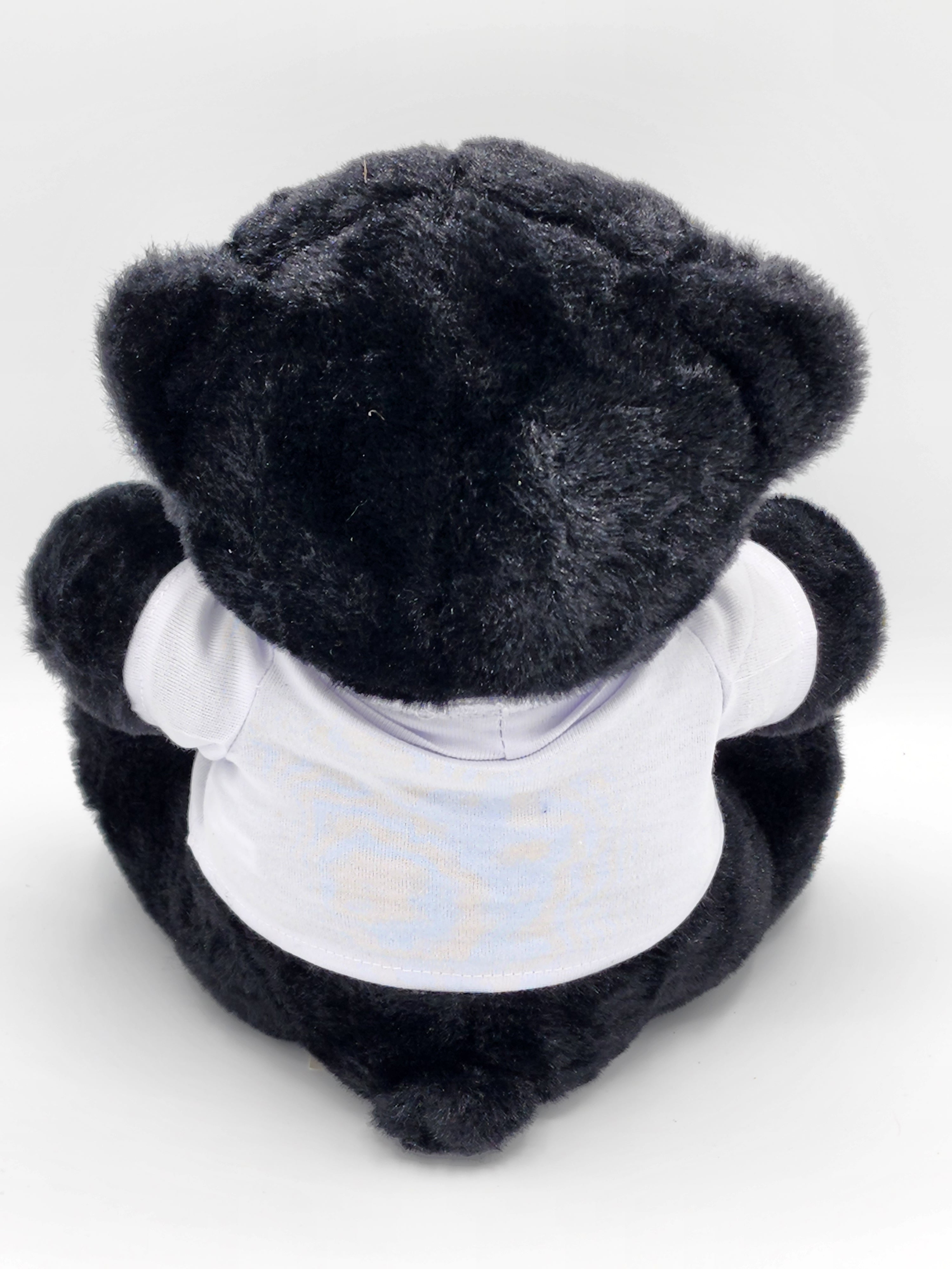 Hocking Hills Black Bear