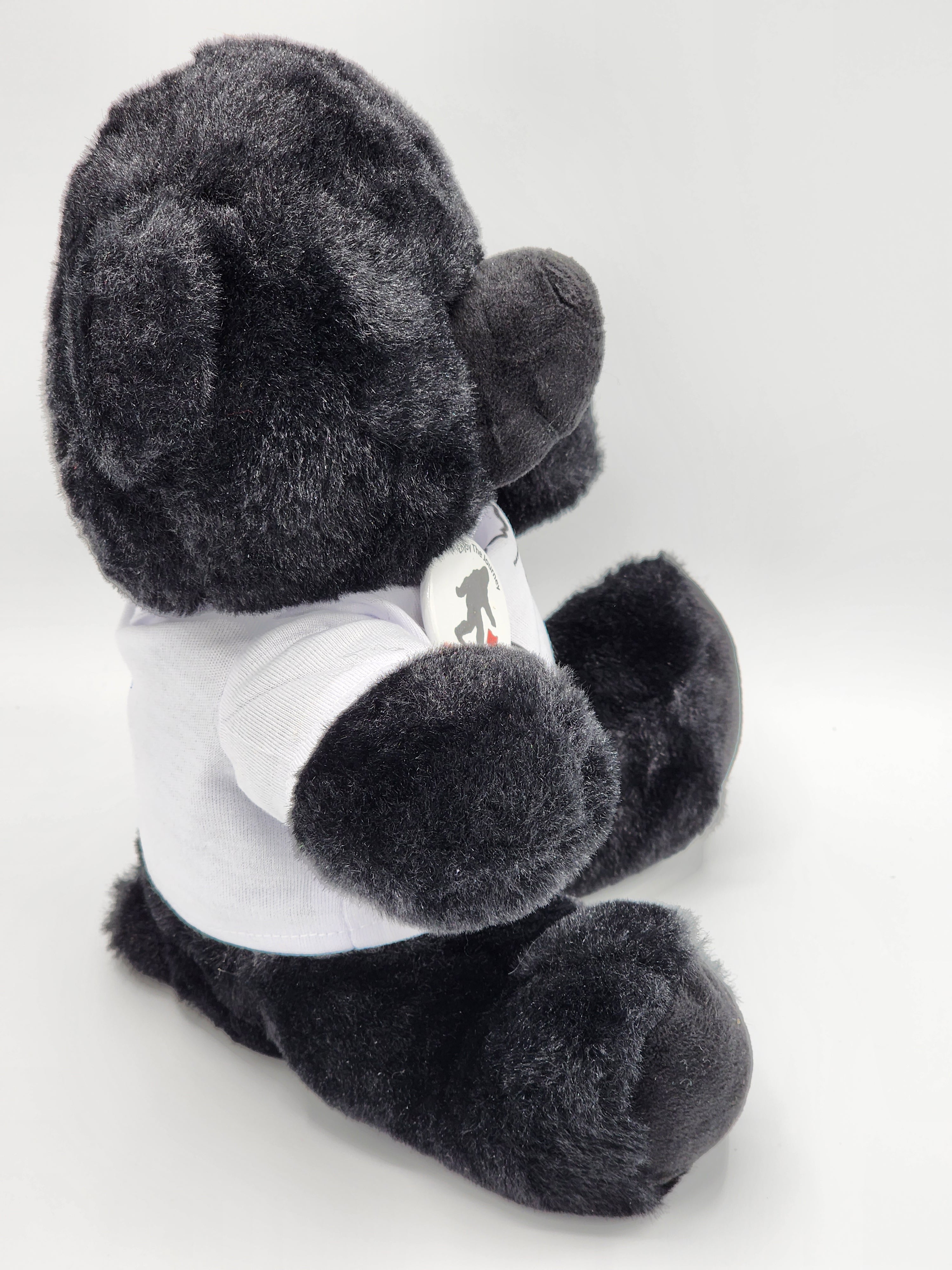 Hocking Hills Black Bear