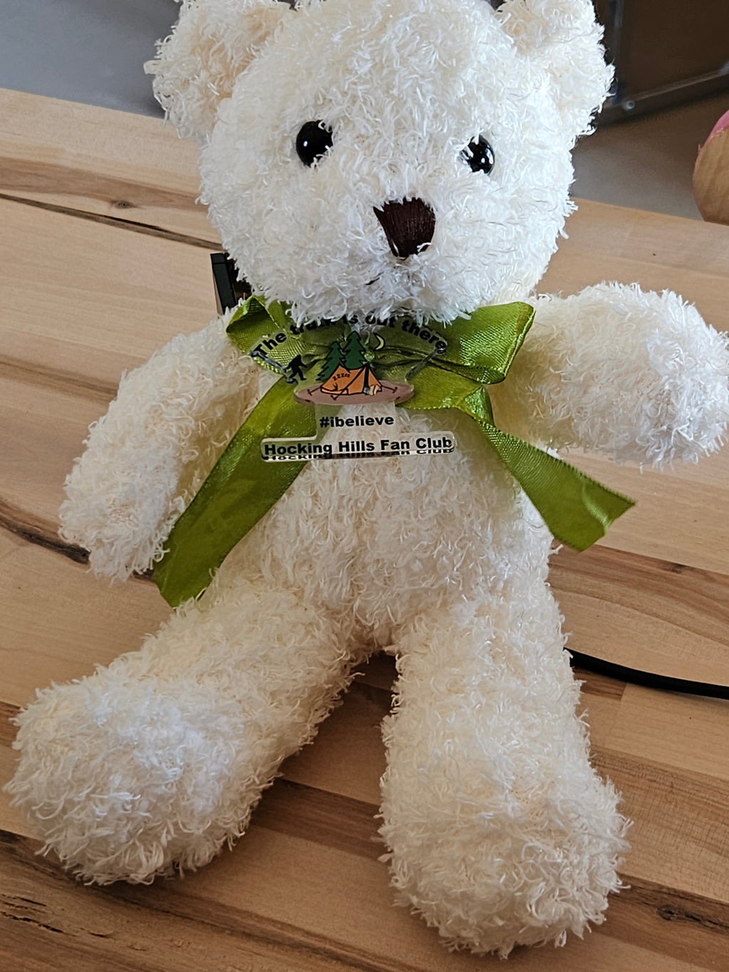 10 inch Hocking Hills Fan Club Bear