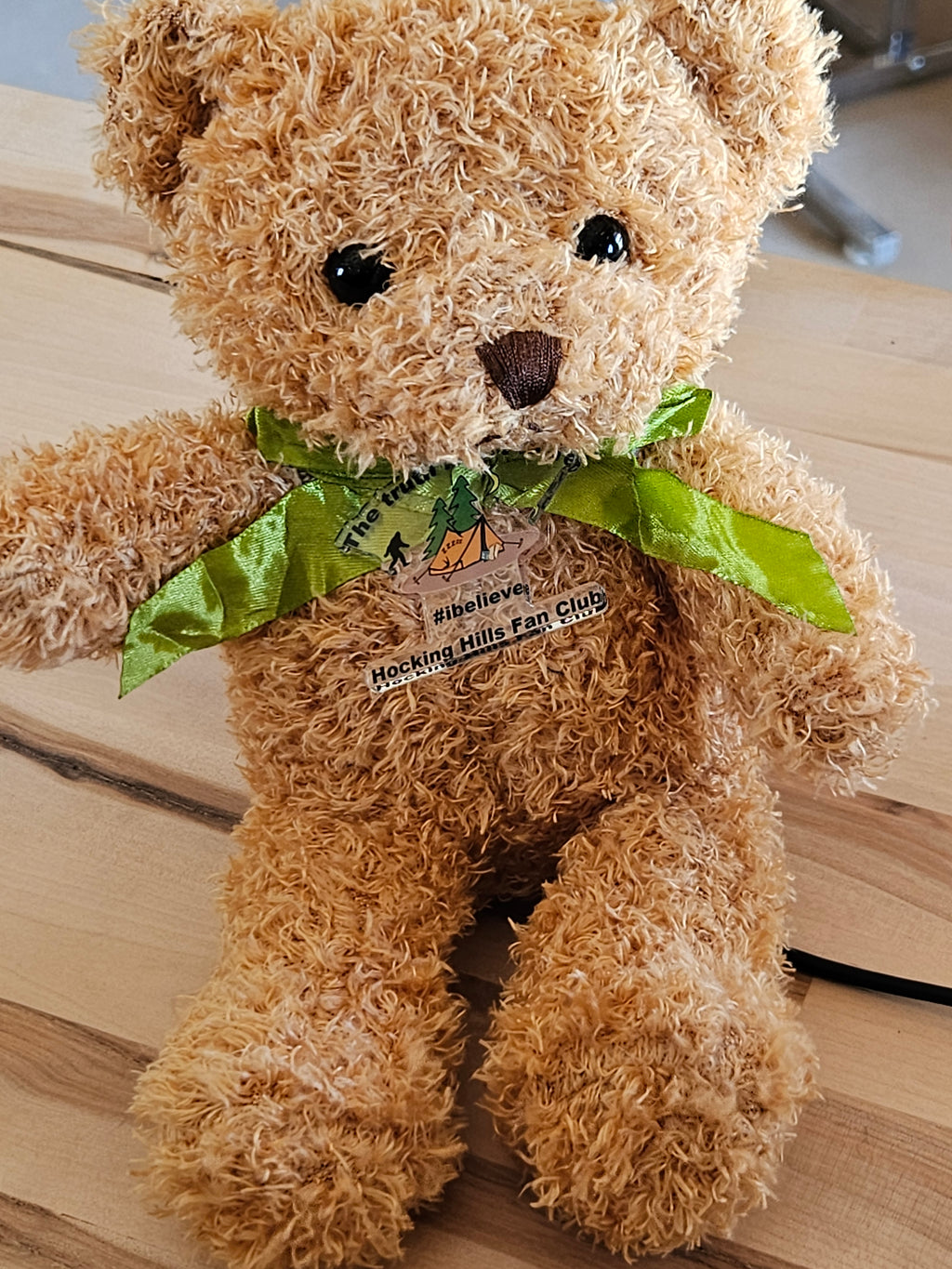 10 inch Hocking Hills Fan Club Bear