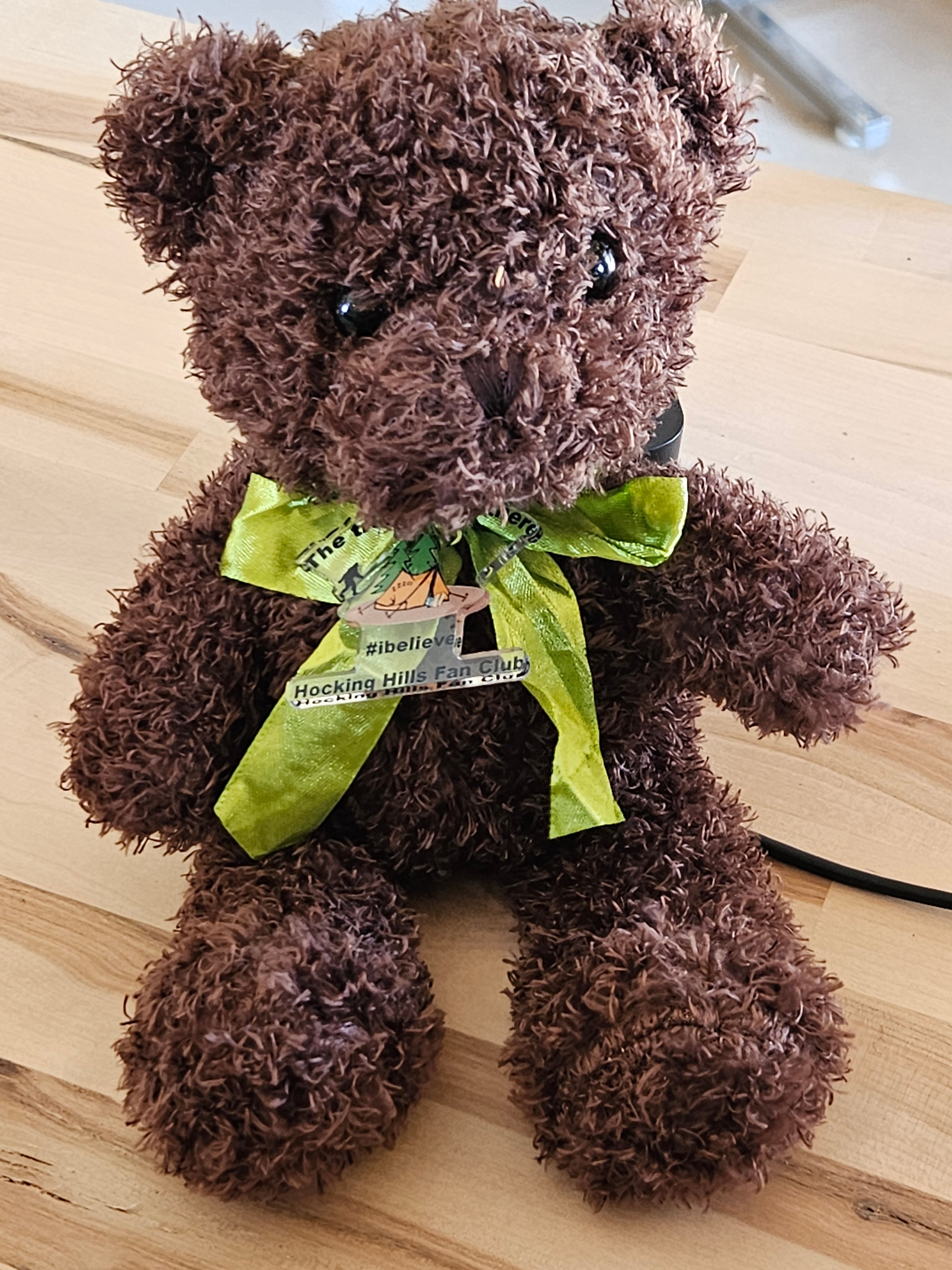 10 inch Hocking Hills Fan Club Bear