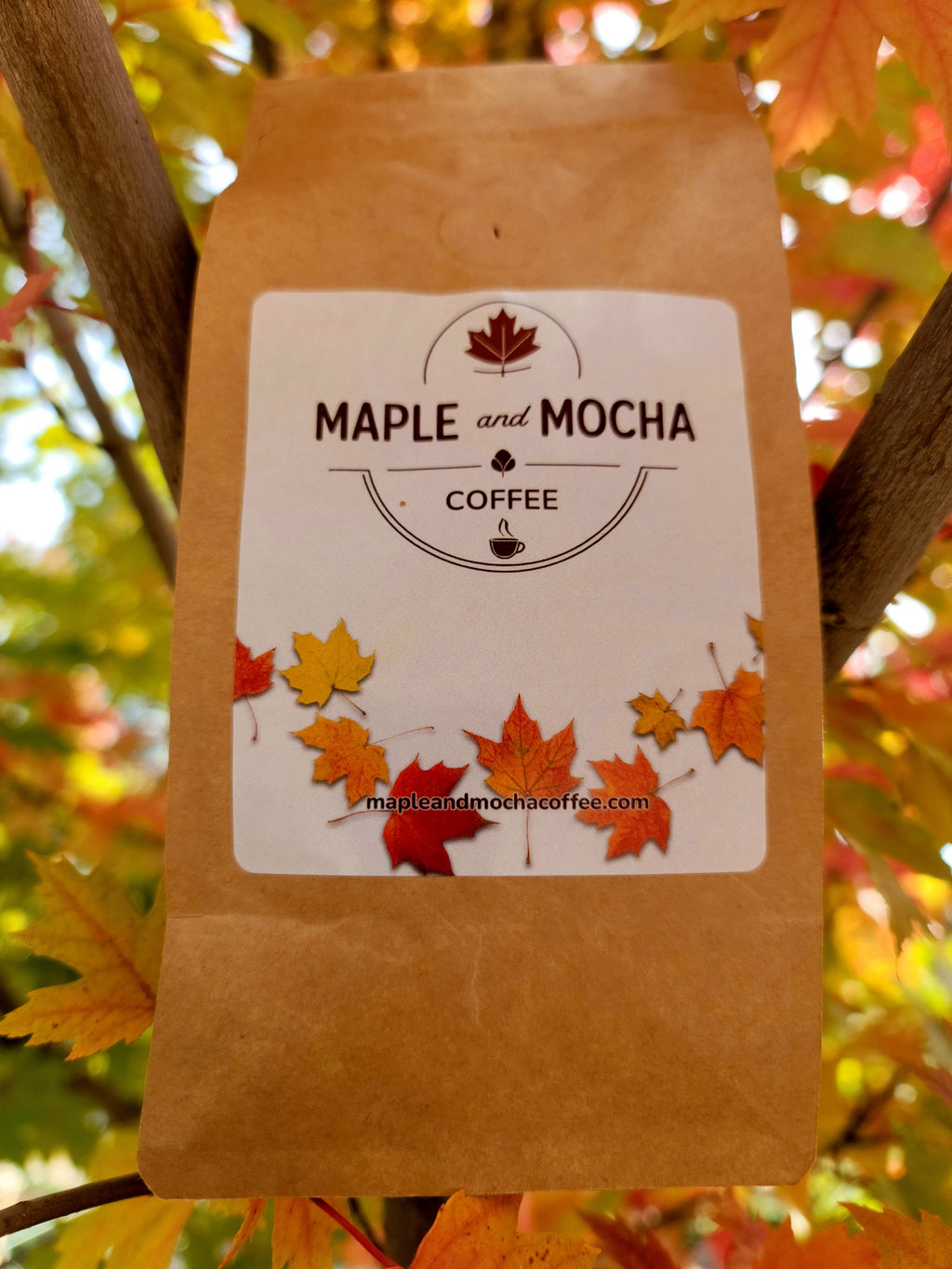 Natural Organic Colombia 'Mesa de los Santos' Coffee