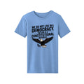 The Hocking Hills Store light blue crewneck t-shirt with a patriotic eagle graphic and constitutional republic text.