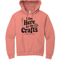 The Hocking Hills Store coral pink pullover hoodie with