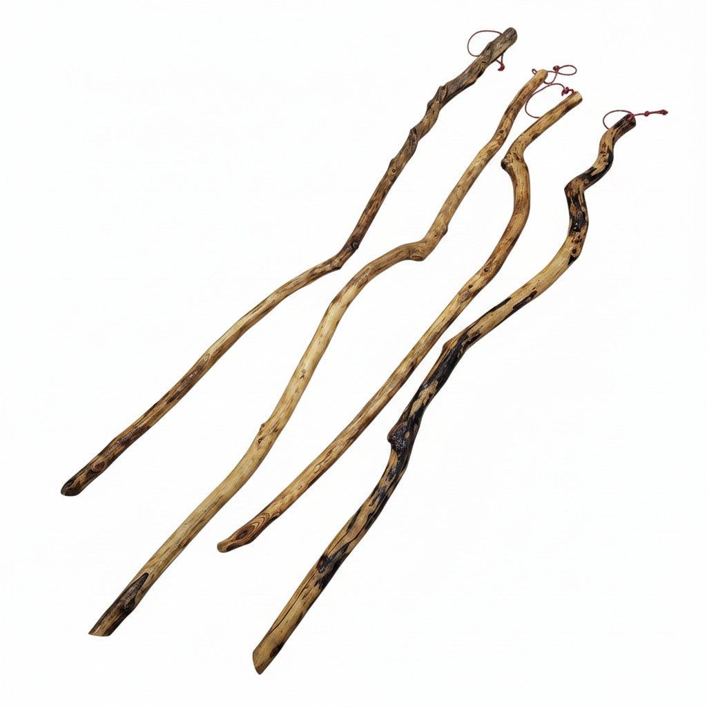 The Hocking Hills Store handmade wooden walking sticks, natural wood finish, unique shapes, ideal for hiking and outdoor support.