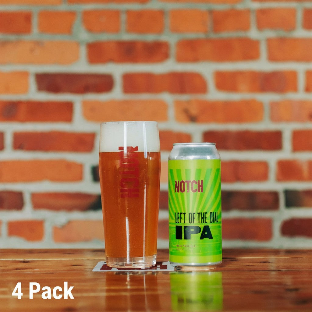 The Hocking Hills Store Left of the Dial IPA beer can and glass with foamy head on a wooden table.