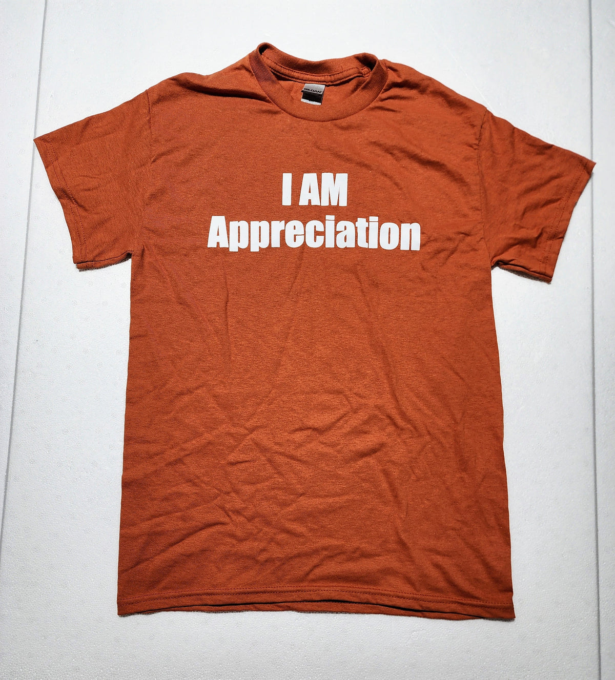 The Hocking Hills Store burnt orange I Am Appreciation t-shirt with white minimalist text on the chest.