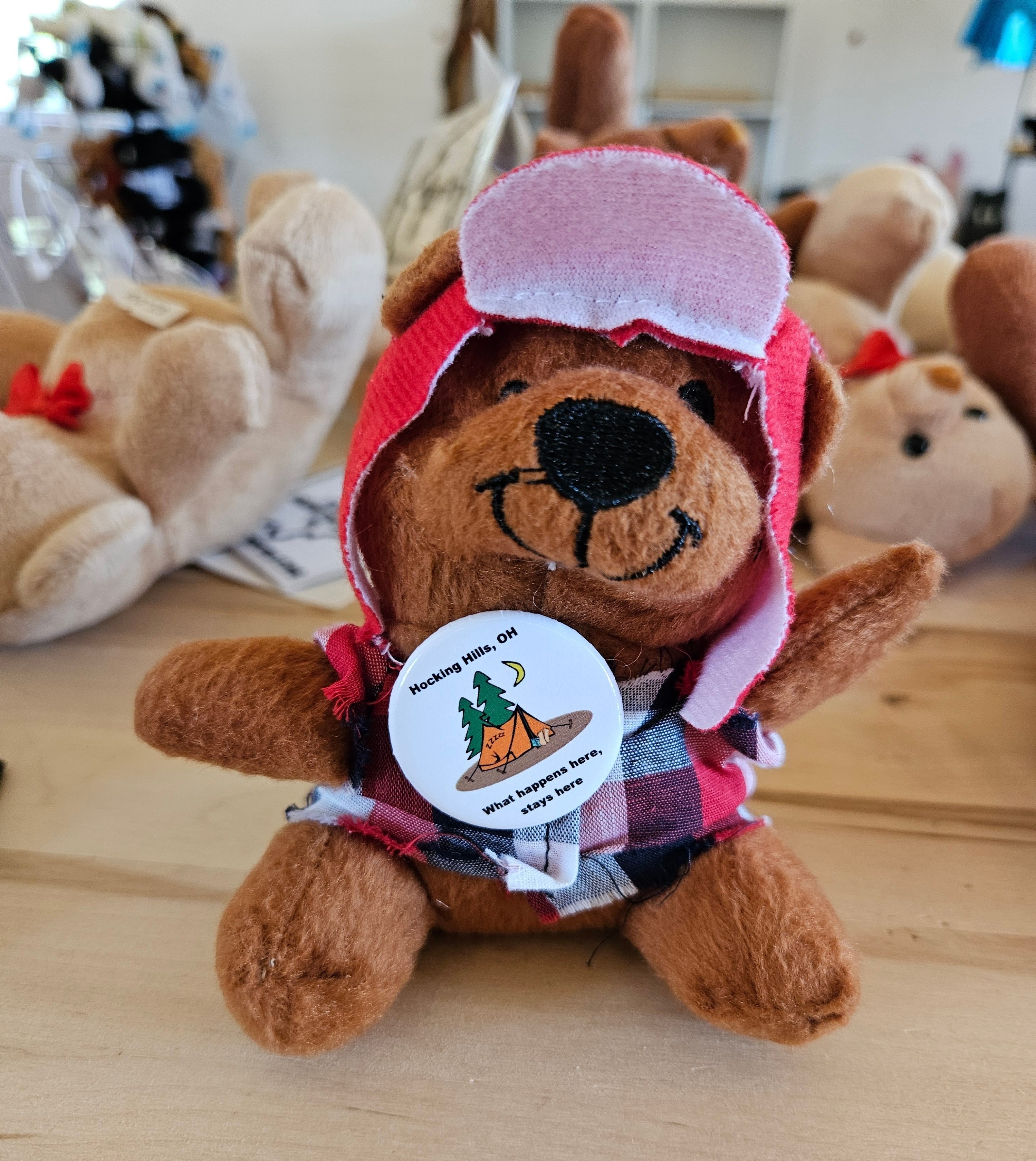 The Hocking Hills Store brown plush bear wearing a red hood, plaid shirt, and a circular pin with a tent and trees. Small/medium size.