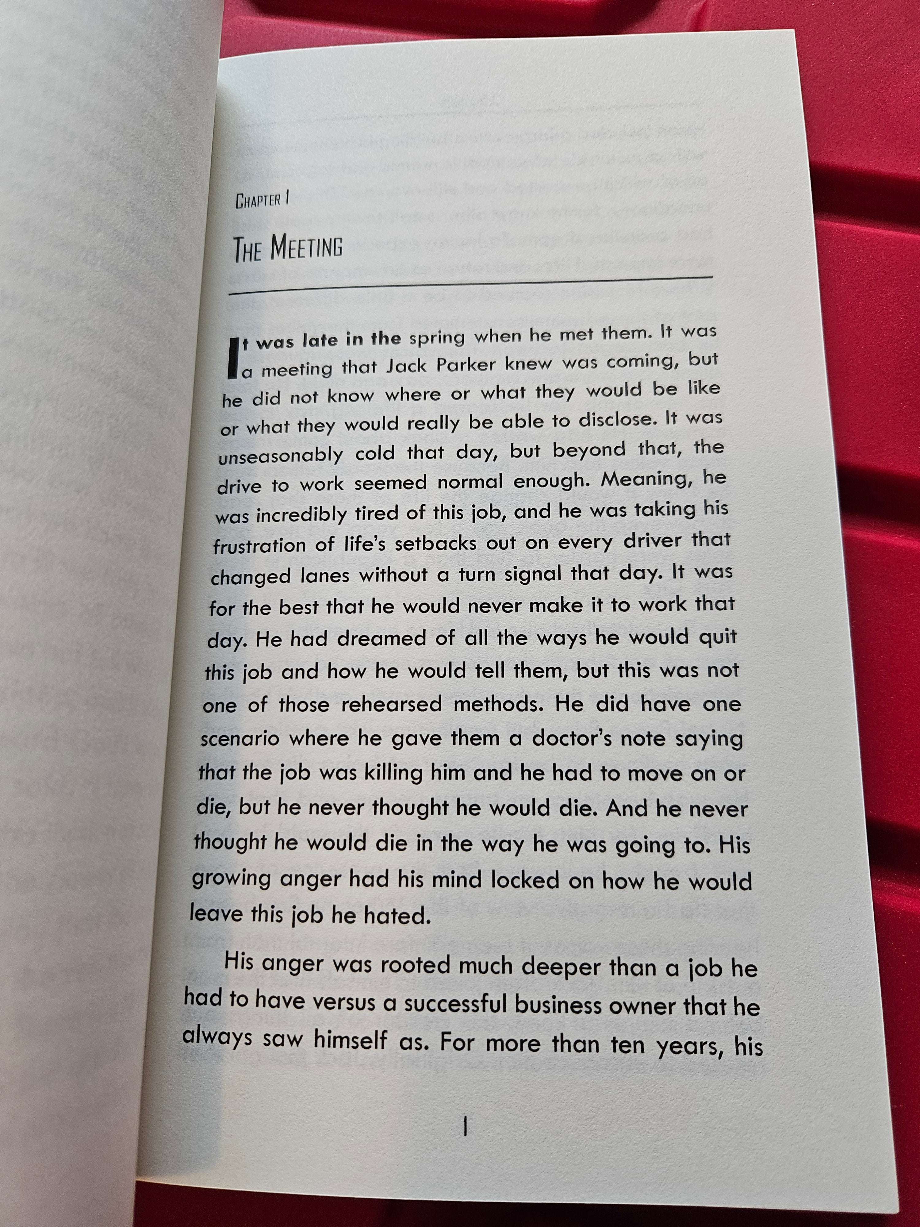 The Hocking Hills Store's The Veil: A Journey to the Other Side book, chapter 1: The Meeting.